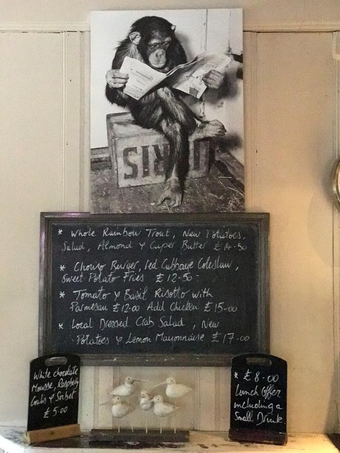 ホテル Monkey Brewhouse リミントン エクステリア 写真